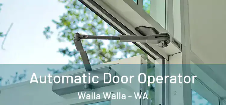 Automatic Door Operator Walla Walla - WA