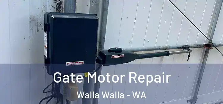 Gate Motor Repair Walla Walla - WA